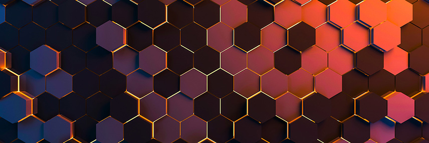 Legislative/Regulatory Issues